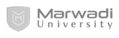 Marwadi University